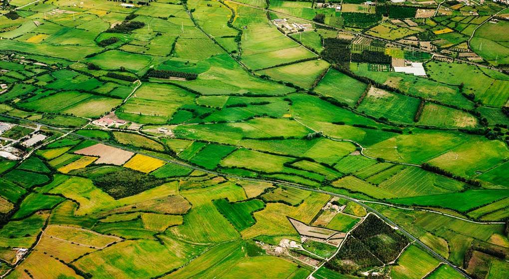 Green fields in the English countryside