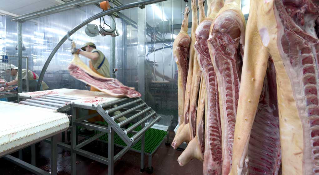 Meat industry employee at work