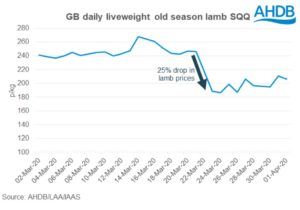 Graph showing lamb prices