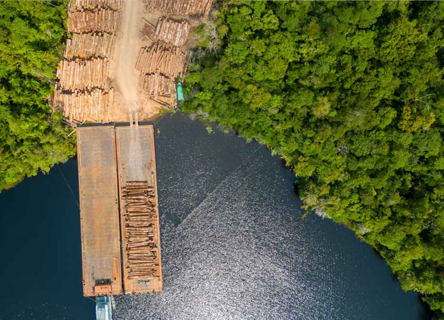 Deforestation in logging area