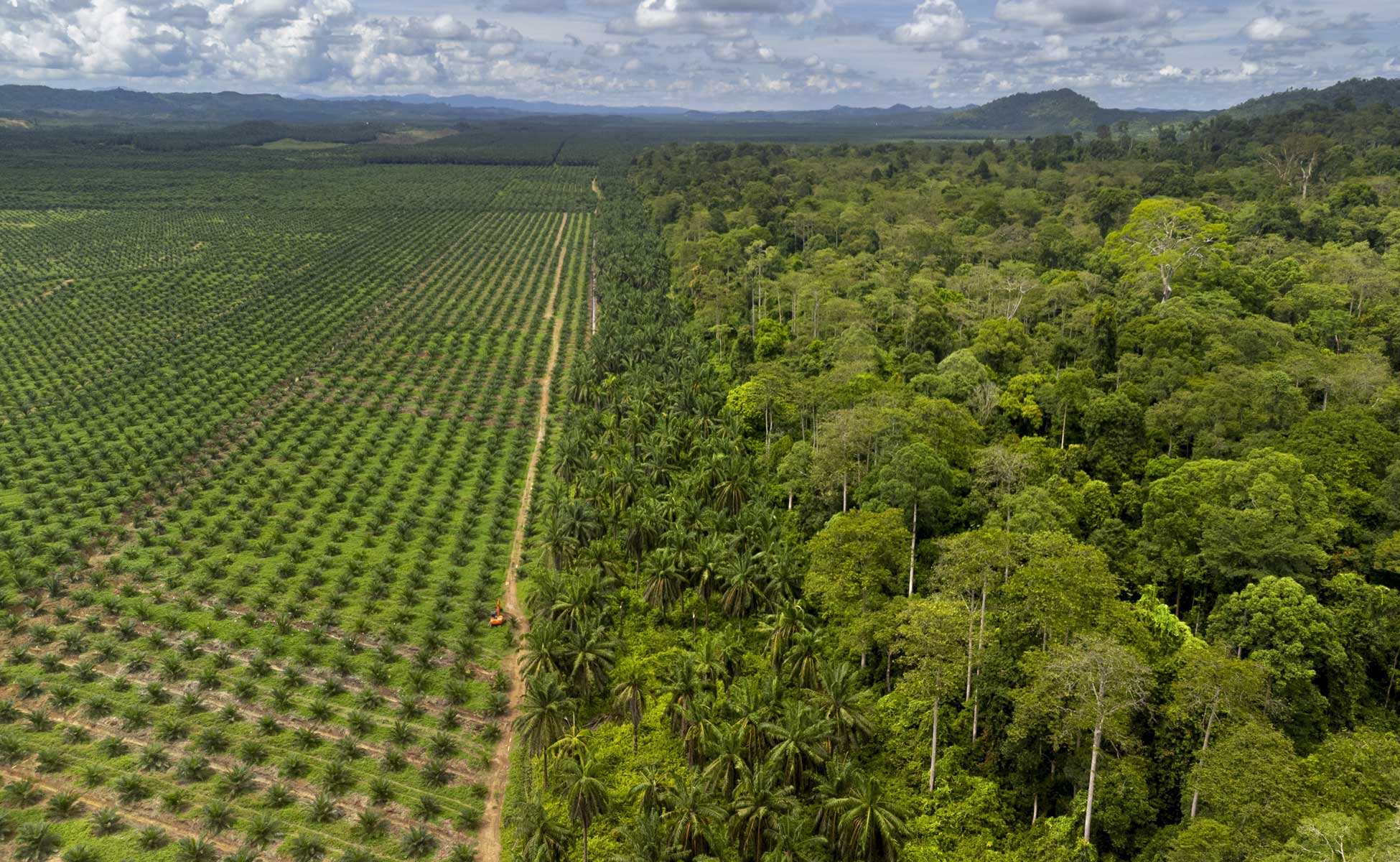 Deforested land